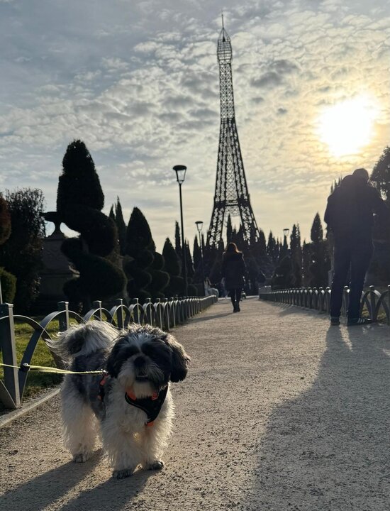 Un perro frente a la réplica de la torre Eiffel en el Parque Europa.